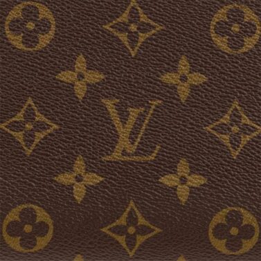 louis-vuitton-grand-palais-monogram-handbags-M45898_PM2_Frontview.jpg