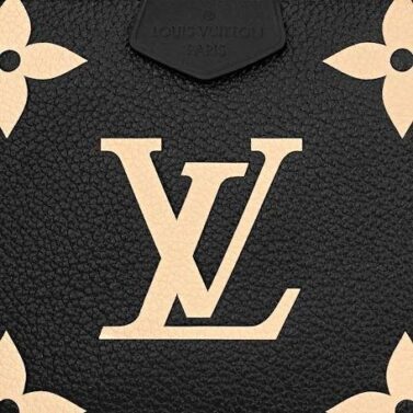 louis-vuitton-multi-pochette-accessoires-bicolor-monogram-empreinte-leather-handbags-M45777_PM1_Back_20view.jpg